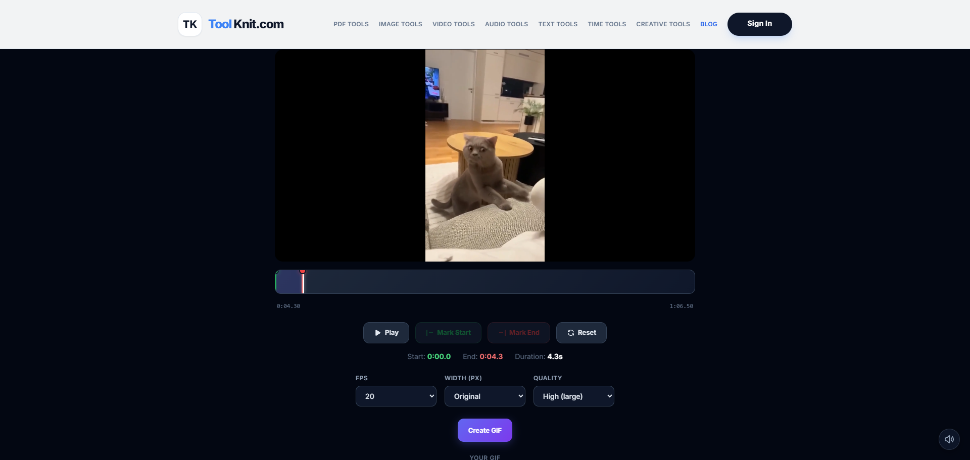 Screenshot of ToolKnit Video to GIF converter interface showing the cat video being converted