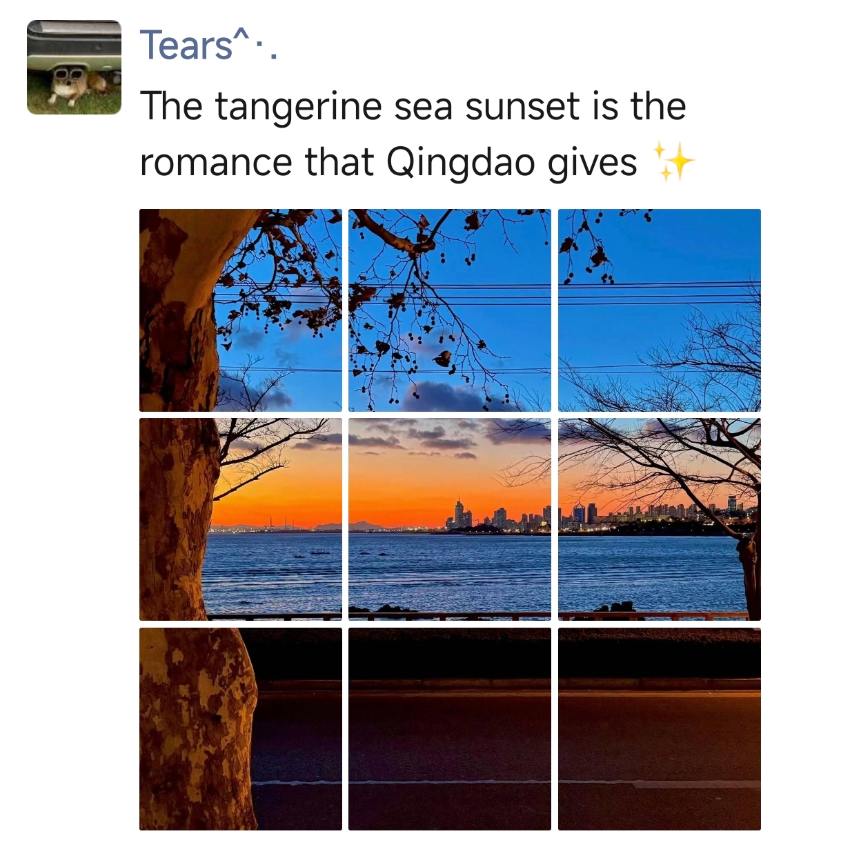 Instagram grid layout showing a sunset panorama split into 9 squares